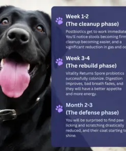 RZXEA™ Pet Pro-Gut Series