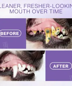 RZXEA™ Pet Zinc-Gluconate Oral Spray