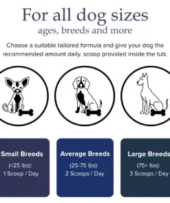 RZXEA™ Tartar & Plaque Remover