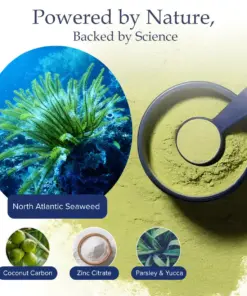 RZXEA™ Tartar & Plaque Remover