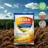 RZXEA™ Cereals Herbicide —Visible Results in 3 Days, Dual-Action Resistance Management, Broad-Spectrum & Crop-Safe