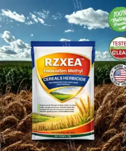 RZXEA™ Cereals Herbicide —Visible Results in 3 Days, Dual-Action Resistance Management, Broad-Spectrum & Crop-Safe