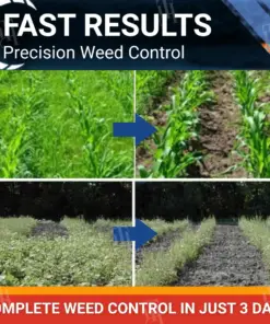 RZXEA™ Cereals Herbicide —Visible Results in 3 Days, Dual-Action Resistance Management, Broad-Spectrum & Crop-Safe