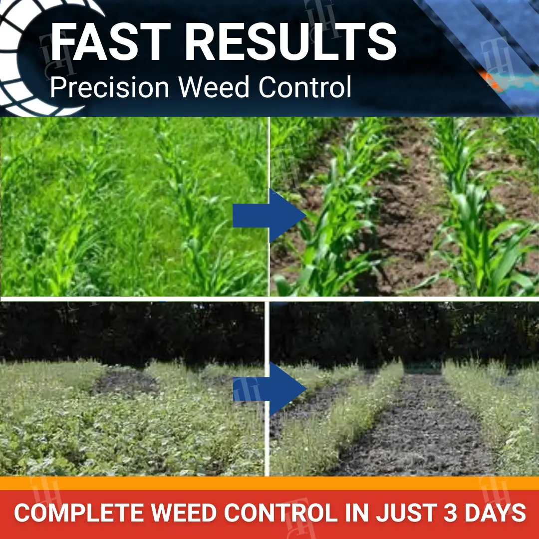 RZXEA™ Cereals Herbicide —Visible Results in 3 Days, Dual-Action Resistance Management, Broad-Spectrum & Crop-Safe