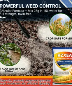 RZXEA™ Cereals Herbicide —Visible Results in 3 Days, Dual-Action Resistance Management, Broad-Spectrum & Crop-Safe