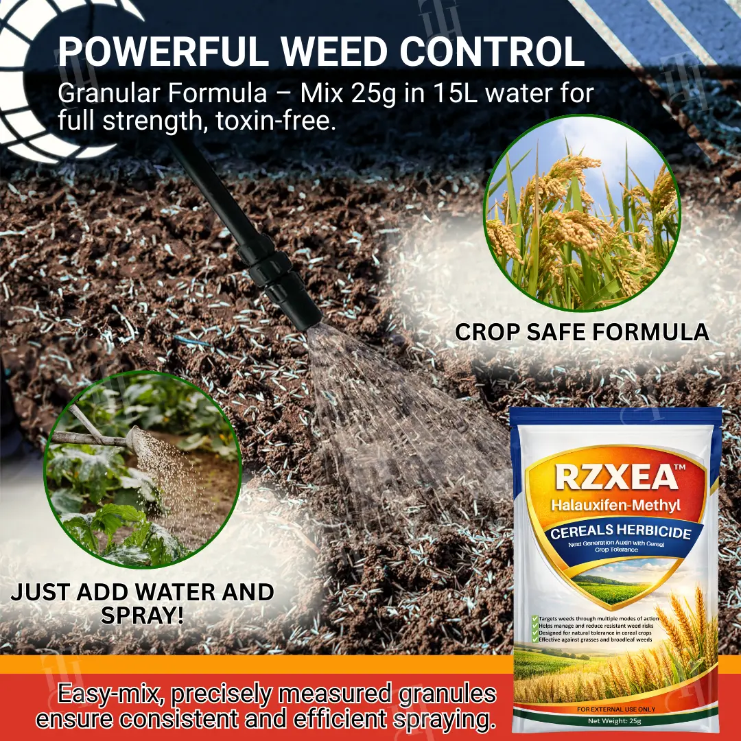 RZXEA™ Cereals Herbicide —Visible Results in 3 Days, Dual-Action Resistance Management, Broad-Spectrum & Crop-Safe