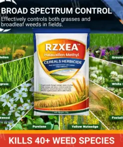 RZXEA™ Cereals Herbicide —Visible Results in 3 Days, Dual-Action Resistance Management, Broad-Spectrum & Crop-Safe