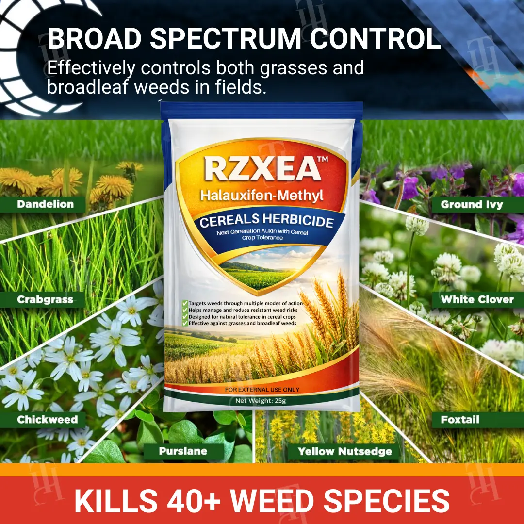 RZXEA™ Cereals Herbicide —Visible Results in 3 Days, Dual-Action Resistance Management, Broad-Spectrum & Crop-Safe