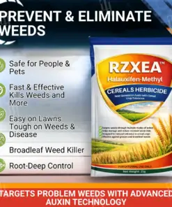 RZXEA™ Cereals Herbicide —Visible Results in 3 Days, Dual-Action Resistance Management, Broad-Spectrum & Crop-Safe