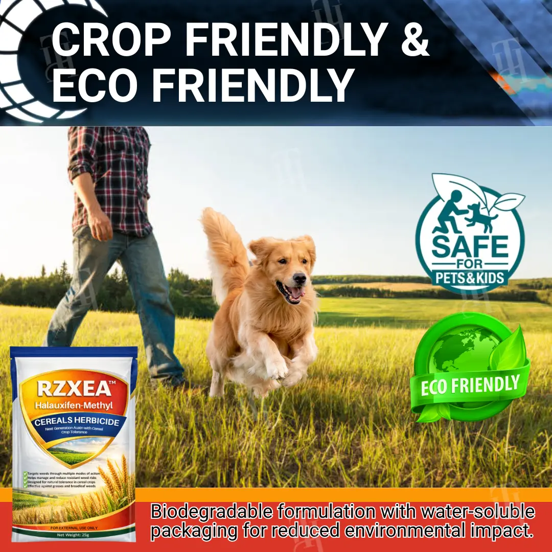 RZXEA™ Cereals Herbicide —Visible Results in 3 Days, Dual-Action Resistance Management, Broad-Spectrum & Crop-Safe