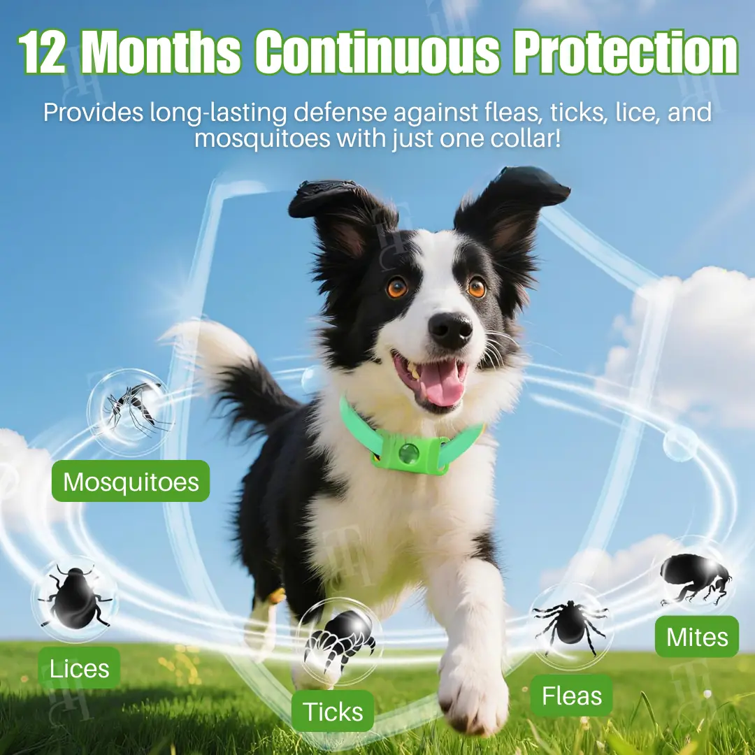 RZXEA™ Pet 12 Months Prevention Collar