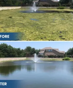RZXEA™3-in-1 Green Water Fix