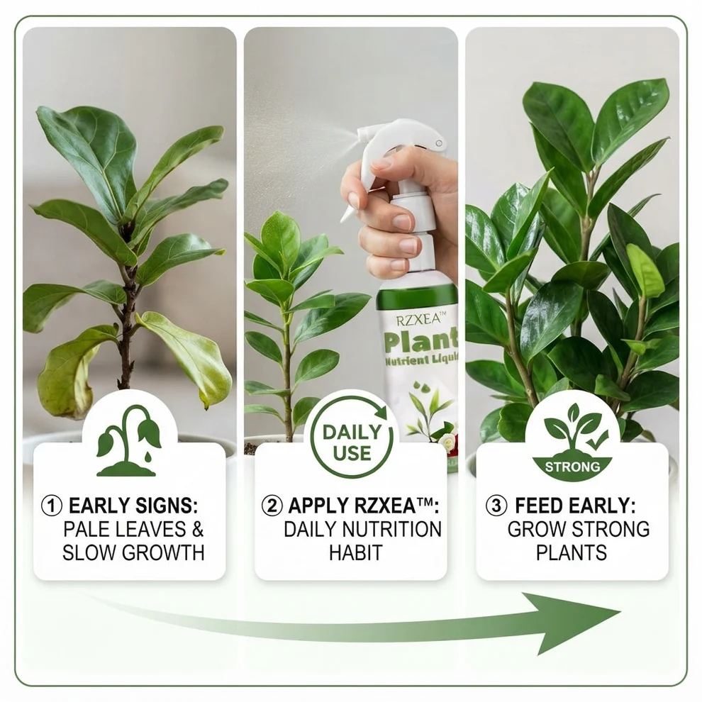 RZXEA™ Ready-to-Use Plant Nutrient Solution - Image 3